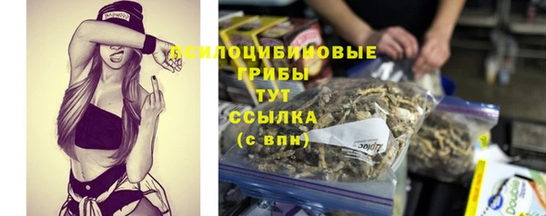 хмурый Михайловка