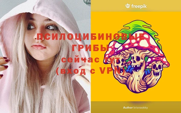 хмурый Михайловка