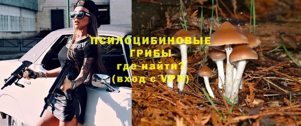 таблы Михайлов