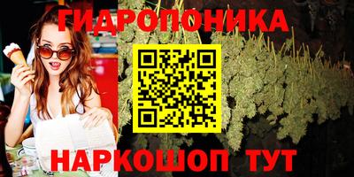 PSILOCYBIN Камышлов
