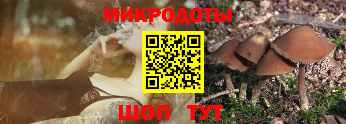 Галлюциногенные грибы прущие грибы Новоуральск